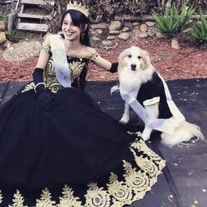 Meet your Posher, Victoria